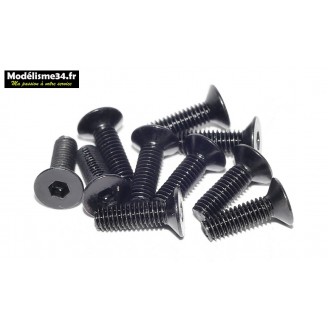 Vis CHC M4x12 têtes fraisées  ( 10pcs ) : m1449N