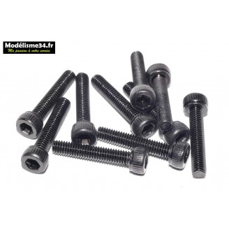 Vis CHC M3x25 têtes cylindriques ( 10pcs ) : m1441N